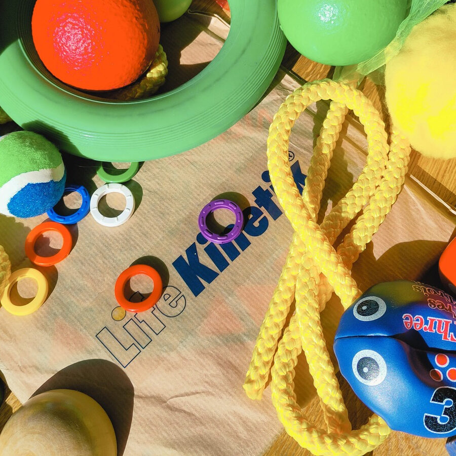 lifekinetik_website